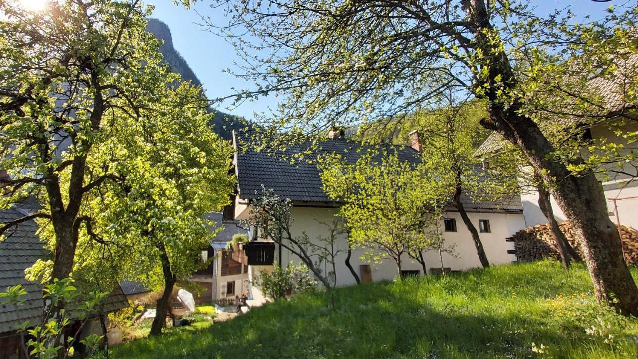 Apartmaji Pekovec Bohinj Exterior photo